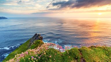 ierland_clare_munster_cliffs-of-moher_klif_zee_zonsondergang_bloemen_getty