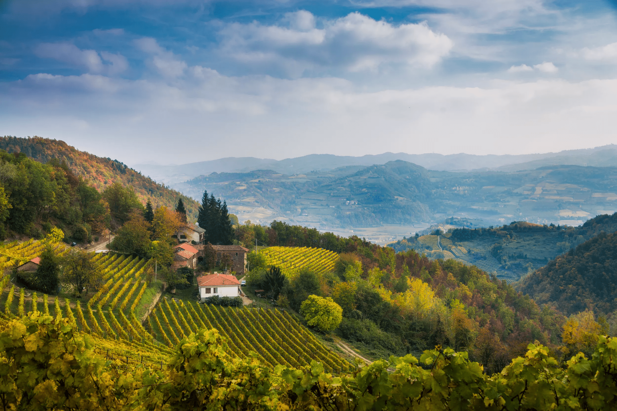 10-daagse rondreis Train & Electric-drive: bourgondische wijnreis naar Piemonte