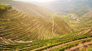 portugal_porto_peso-da-regua_douro-vallei_wijngaard_dorp_getty-1188283474