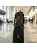 Travelnet TSA Reisslot met Cijfercode Set van 2