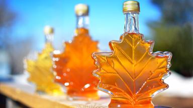 canada_algemeen_esdoornblad_maple-syrup_shutterstock_brochure2020