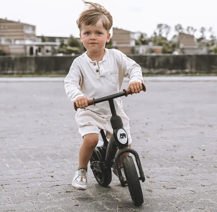 Luxe Loopfiets 10 inch - Kinderfiets - 2-4 jaar