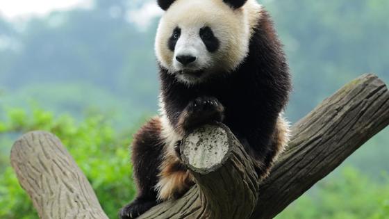 Dit beeld mag alleen gebruikt worden voor en door de business line Reizen. Binnen Reizen mag dit beeld online gebruikt worden en in print tot een oplage van maximaal 500.000.