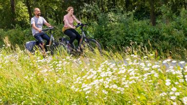 Modellen hebben geen toestemming gegeven om de beelden voor campagnes te gebruiken. Ander gebruik is geen probleem.