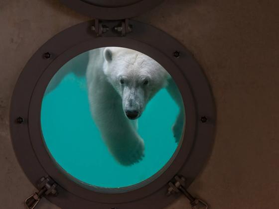 Impressie van WILDLANDS Adventure Zoo Emmen