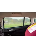 Ford Focus IV Wagon 2018 - Zonneschermen - Car Shades
