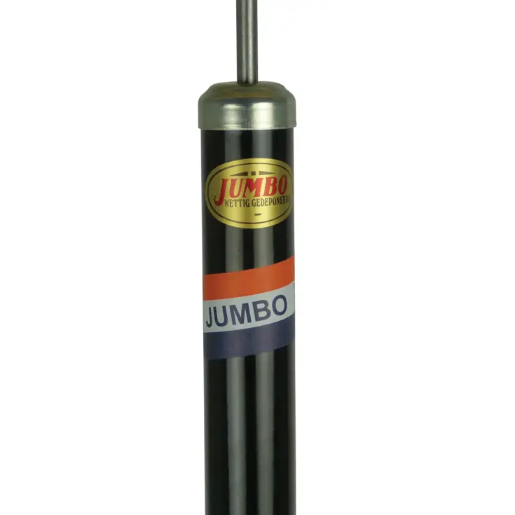 Zwarte plankpomp met slang voor Dunlop ventiel