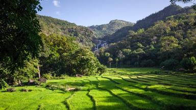 sri lanka_rathna waterval_1_shutterstock_b
