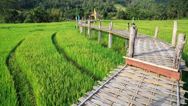 thailand_pai_rijstveld_brug_b