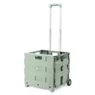 Packaway Boodschappenkrat - 50L