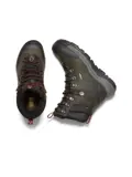 Revel IV High Polar - Wandelschoenen - Heren