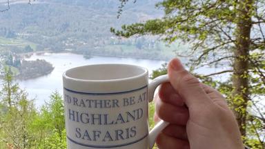 Fox_Schotland_Highland Safaris_mok