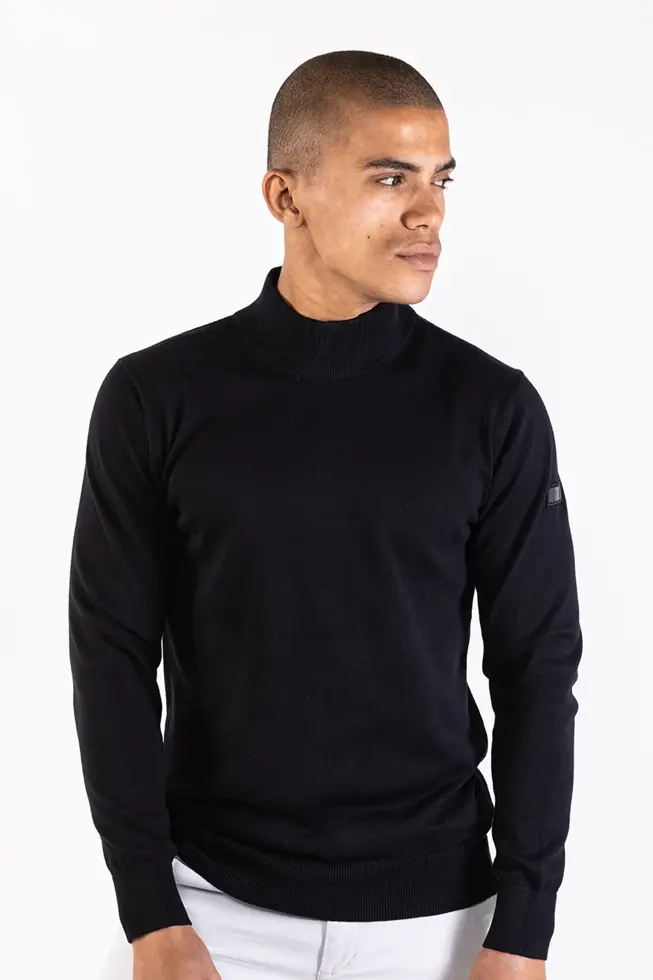 Heren Jordan Turtle Pullover