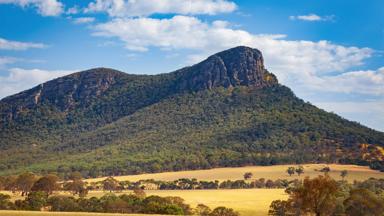 australie_victoria_grampians-national-park_mount-abrupt_shutterstock