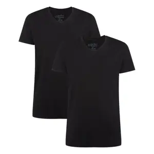 VELO - T-shirts V-hals 2-pack heren - XXL