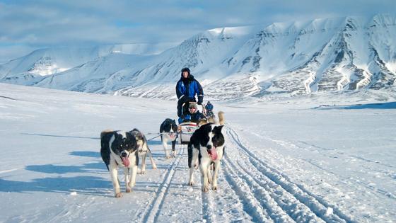 noorwegen_noord-noorwegen_spitsbergen_longyearbyen_huskysledetocht_Marcela-Cardenas_www.nordnorge.com