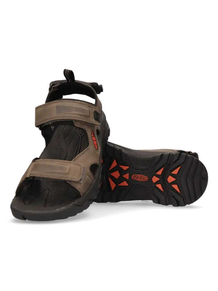 Targhee III - Wandelschoenen - Heren