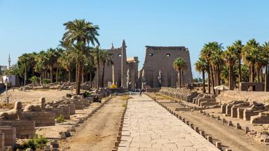 egypte_luxor_tempel-luxor_pad_mens_sphinxen_standbeelden_ruine_b