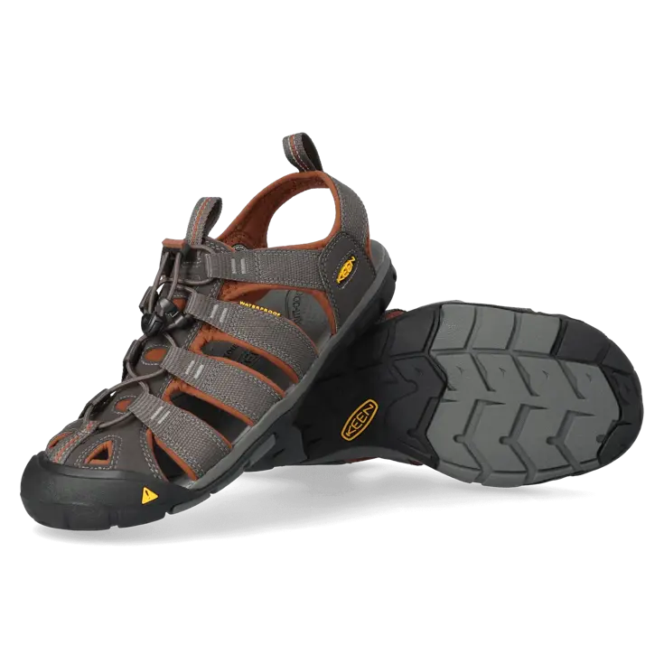 Clearwater CNX - Wandelschoenen - Heren