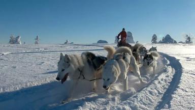 FinsLapland_Luosto_huskysafari_h.