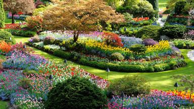canada_british-columbia_victoria_buchart-gardens_tuin_b