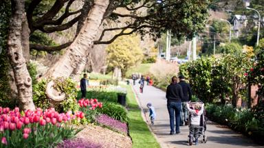 Wellington Botanic Garden, Wellington, Nieuw-Zeeland - GettyImages-585637417