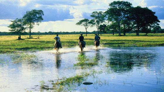 brazilie_pantanal_paardrijden_water_moeras_a