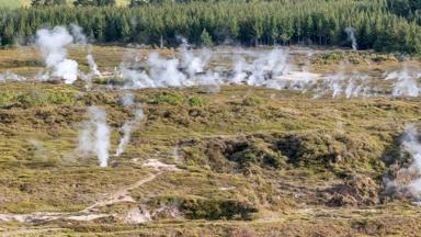 nieuw-zeeland_taupo_craters-of-the-moon_geiser_b.jpg