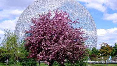 canada_quebec_montreal_biosphere_v