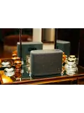 Audio Pro A15 – Draagbare Multiroom Speaker