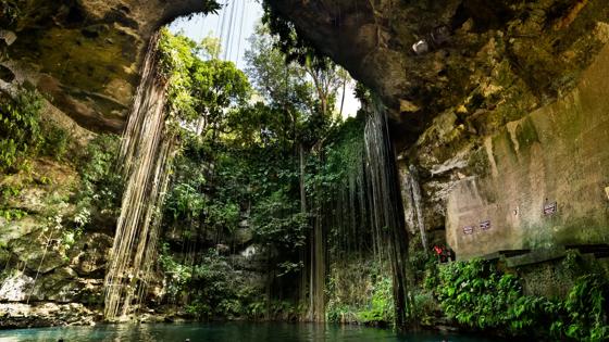 mexico_cenote1_b.jpg