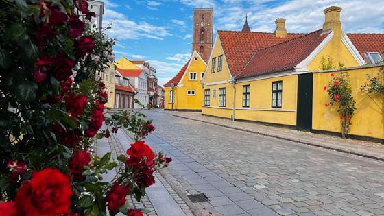 Alleen voor Fox Reizen gebruik op fox.nl en anwb.nl/vakantie