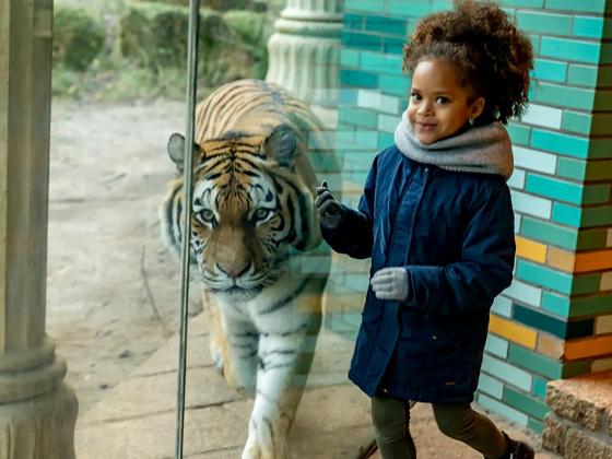 Impressie van DierenPark Amersfoort
