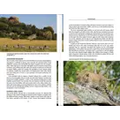 Reisgids East African Wildlife 3