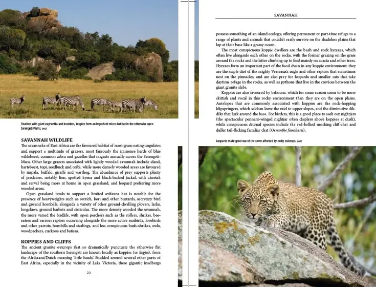 Reisgids East African Wildlife 3