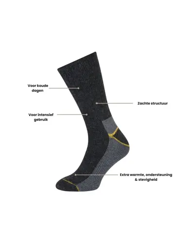 6 paar - Heren - Thermosokken
