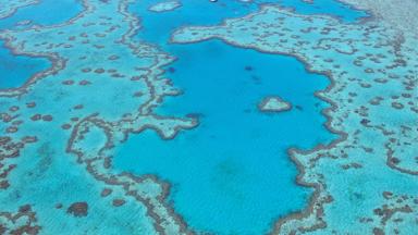 australie_queensland_whitsundays_great-barrier-reef_luchtfoto_koraalrif_heart-reef