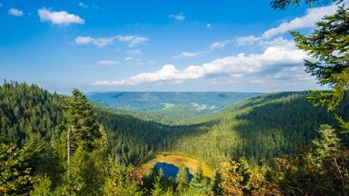 duitsland_baden-wurttemberg_baiersbronn_zwarte-woud_huzenbacher-meer_bos_heuvels_shutterstock_327725351