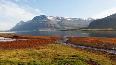 Iceland_Berufjordur-Fjord_Djupivogur