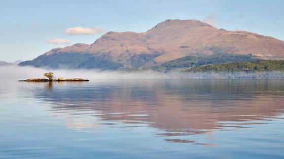 Dit beeld mag alleen gebruikt worden voor de verwijzing naar de digitale kampioen