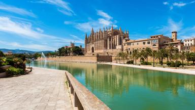 spanje_mallorca_palma_kathedraal-van-mallorca_la-seu_reling_water_fontein_palmboom_getty
