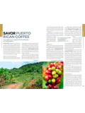 Reisgids Puerto Rico 8
