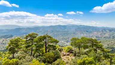 cyprus_troodosgebergte_cedervallei_ceder-boom_gebergte_blauwe-lucht_shutterstock