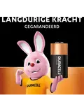 Ultra Foto batterij 123 2st.