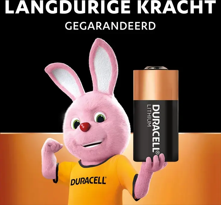 Ultra Foto batterij 123 2st.