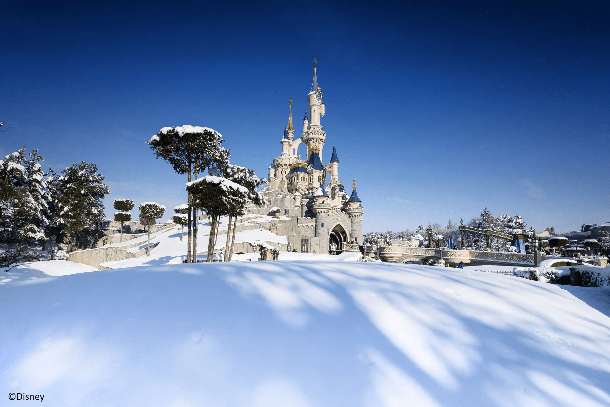 3-daags arrangement Disneyland® Paris - Disney Davy Crockett Ranch afbeelding