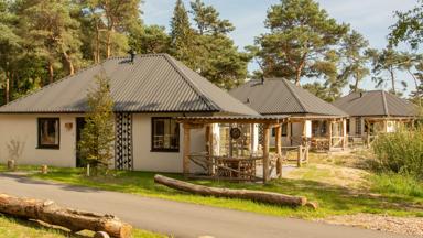 nederland_noord-brabant_hilvarenbeek_safari_resort_beekse_bergen_lodge (3)