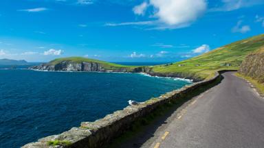 ierland_wild-atlantic-way_algemeen_weg_vogel_zee_berg_shutterstock