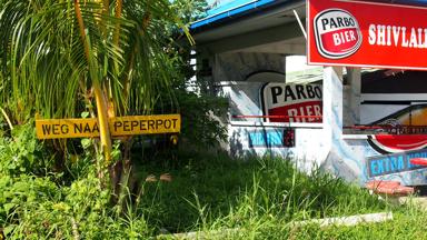 suriname_peperpot_plantage_sfeerbeeld_w