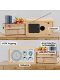 FM radio AUX input Retro design